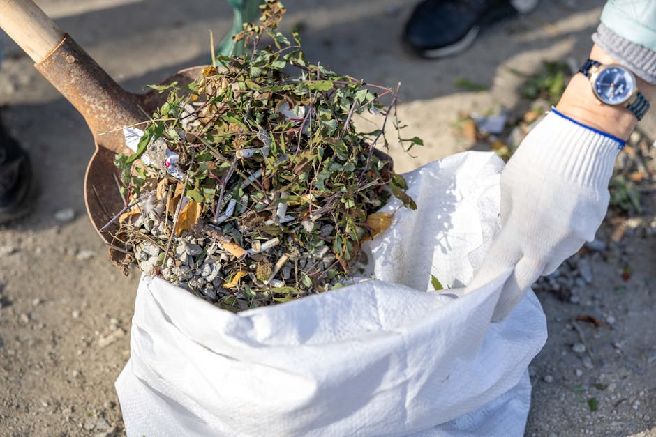 A person wearing a white glove and a wristwatch is holding a large white rubbish bag filled with yard debris, including dirt, small rocks, and a mix of green and brown plant matter, such as leaves and twigs. The individual is using a small shovel made of metal with a wooden handle to assist in loading the debris into the bag. The background shows a rough, paved surface, possibly a driveway or outdoor work area, with other scattered plant waste and natural outdoor lighting highlighting the scene. This image depicts a typical process of preparing garden waste for removal, aligning with the services offered by Rubbish Removal Croydon for alternative or private waste disposal, emphasizing on-site clearance of garden debris.